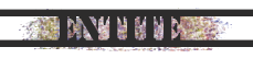 Entité